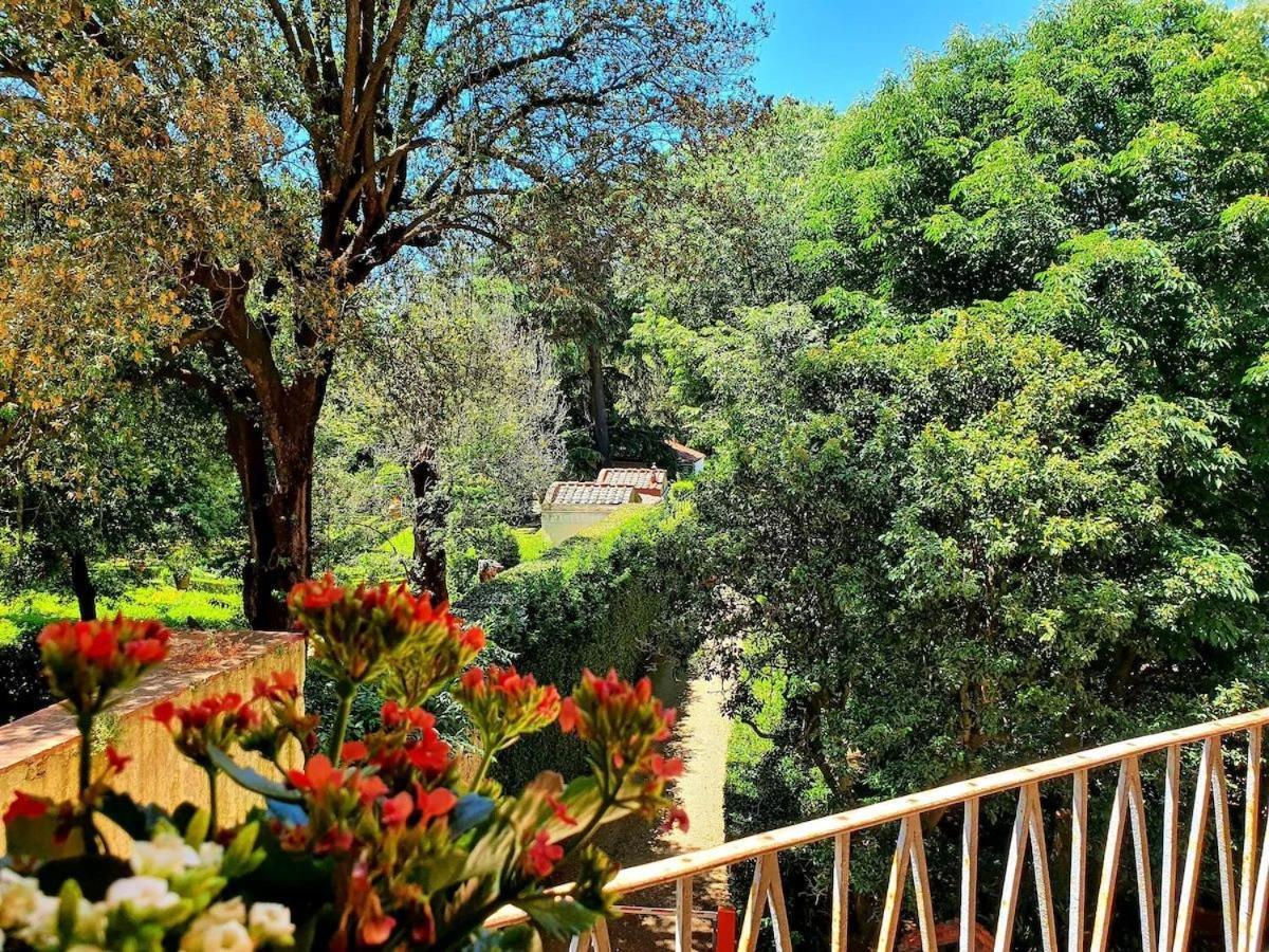 Hotel Annalena Floransa Dış mekan fotoğraf